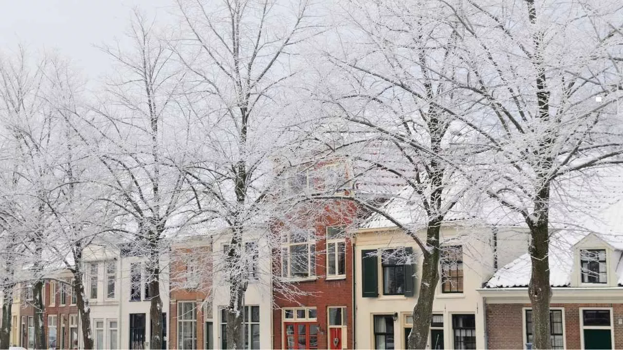Interessant fenomeen: woningen in december goedkoper